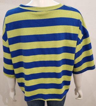 Diverse – Alyson Stripe T.Shirt – Lime and Navy